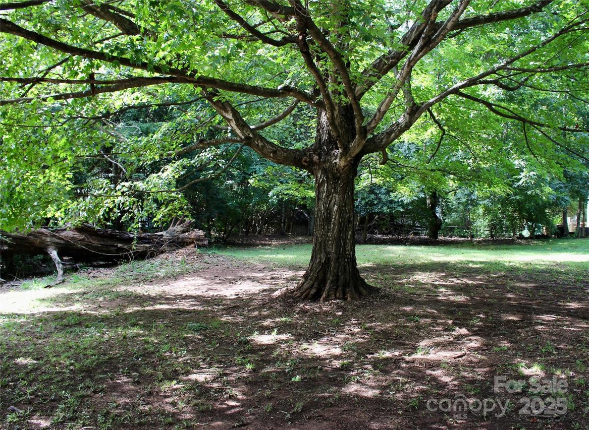 000 Sardis Rd. #ALT, Charlotte, NC 28270