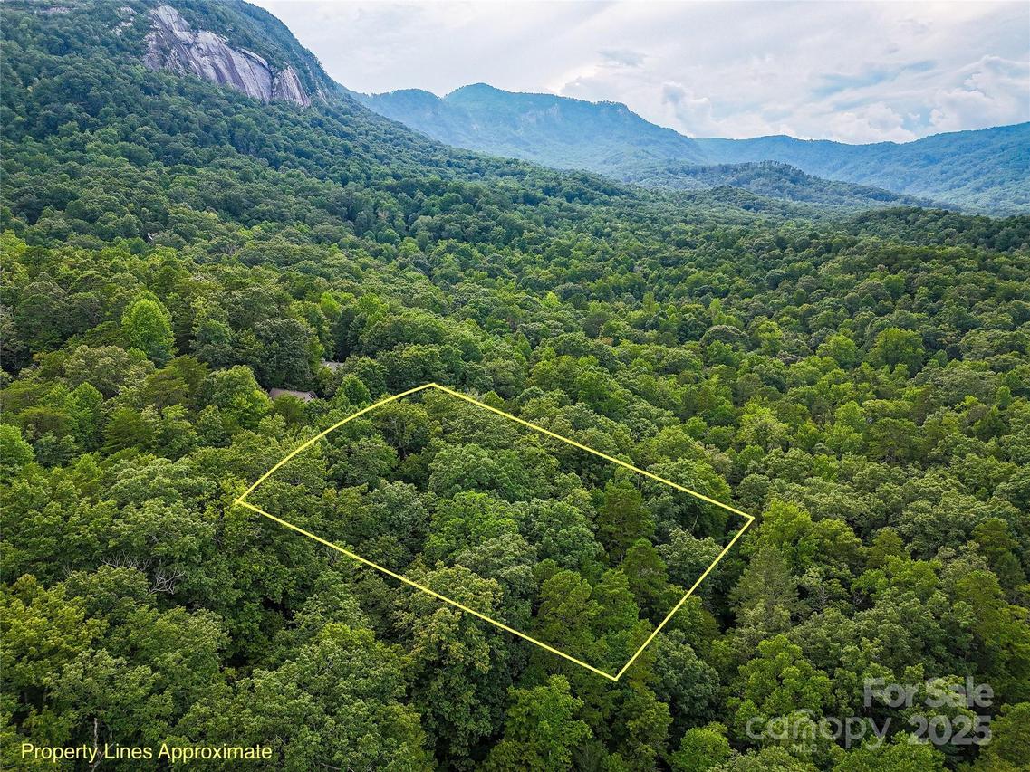 TBD Rumbling Bald Rd. #15, Lake Lure, NC 28746