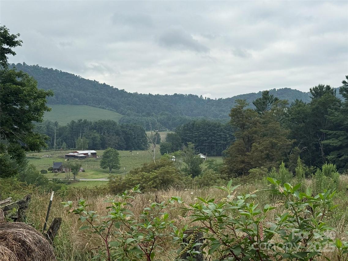TBD Roby Poe Rd., Crumpler, NC 28617