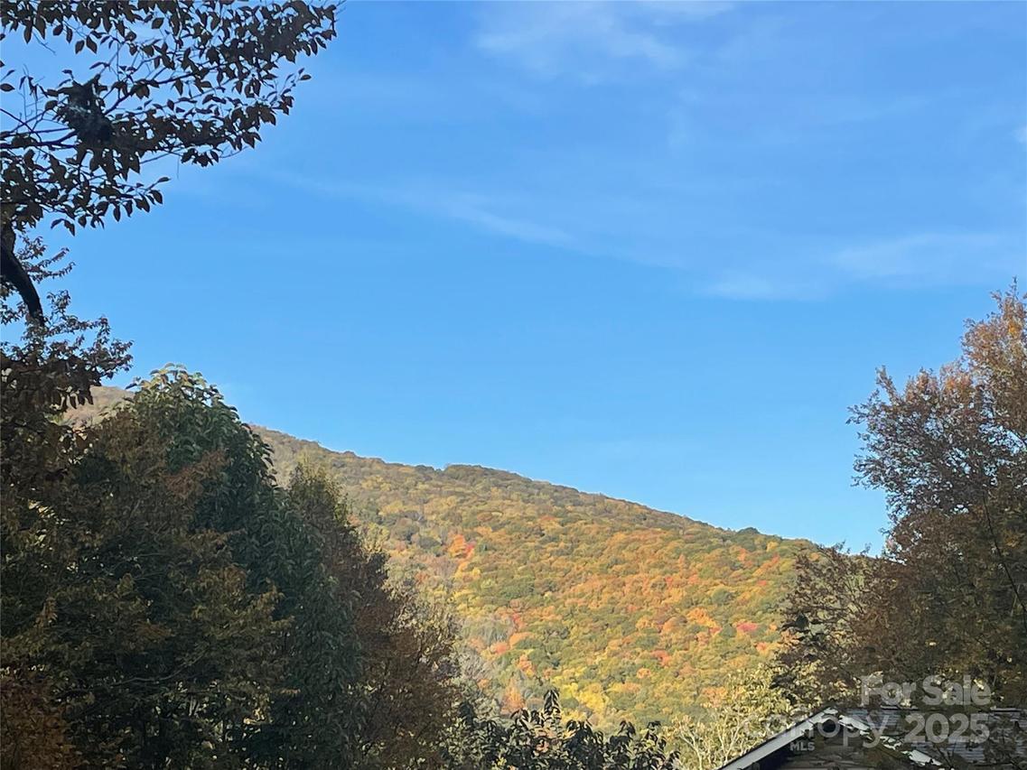 96 Chestnut Ln., Mars Hill, NC 28754
