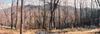 New Homes For Sale This Week in Hayesville: August 8th to August 14th