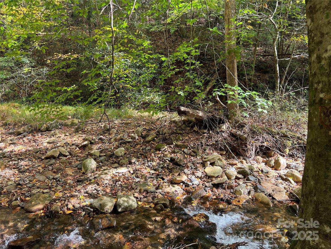 00 Low Gap Rd., Hendersonville, NC 28792