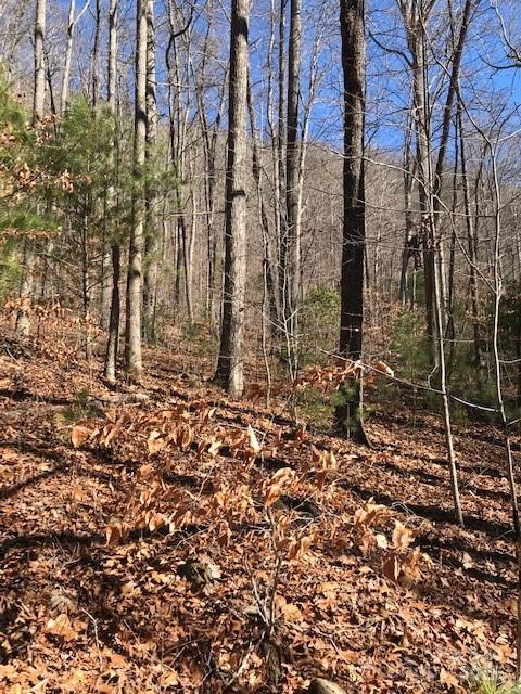 000 Romancer Dr., Sylva, NC 28779