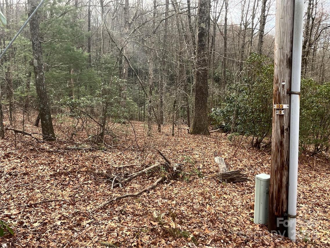 999 Panther Gap Rd., Brevard, NC 28712