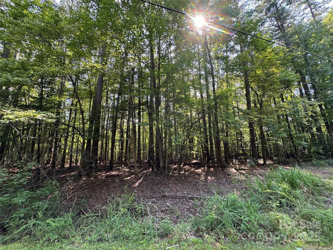 Lot 10 Duck Creek Farms Duck Creek Ln., Indian Trail, NC 28079