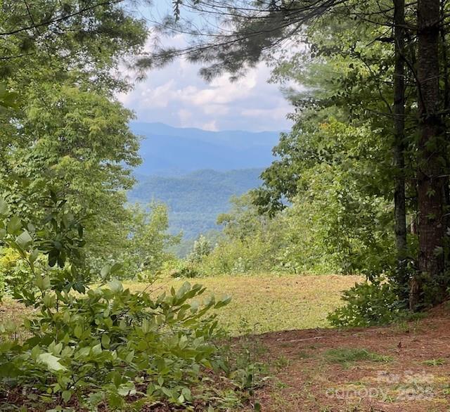 105 Starlight Ln., Bryson City, NC 28713