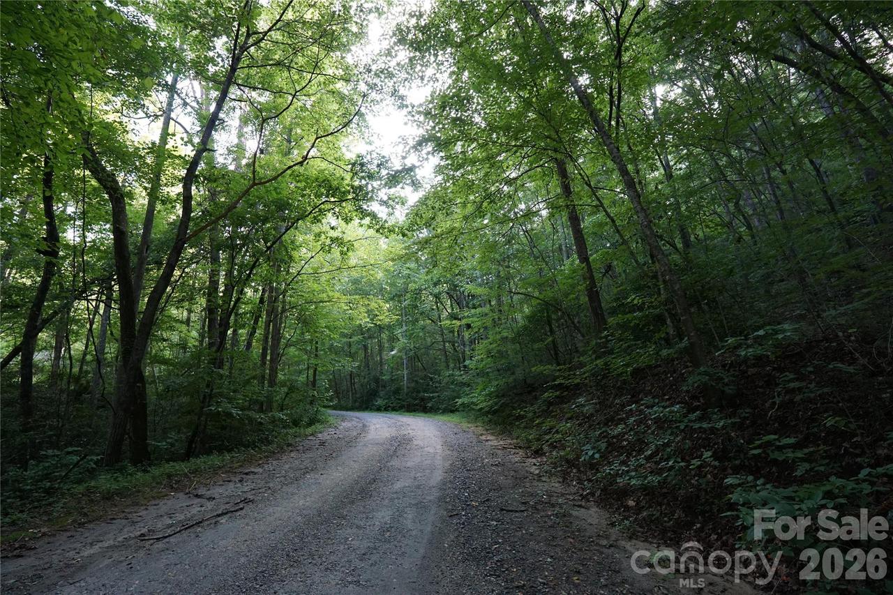 S Poplar Dr. #162, Lake Lure, NC 28746
