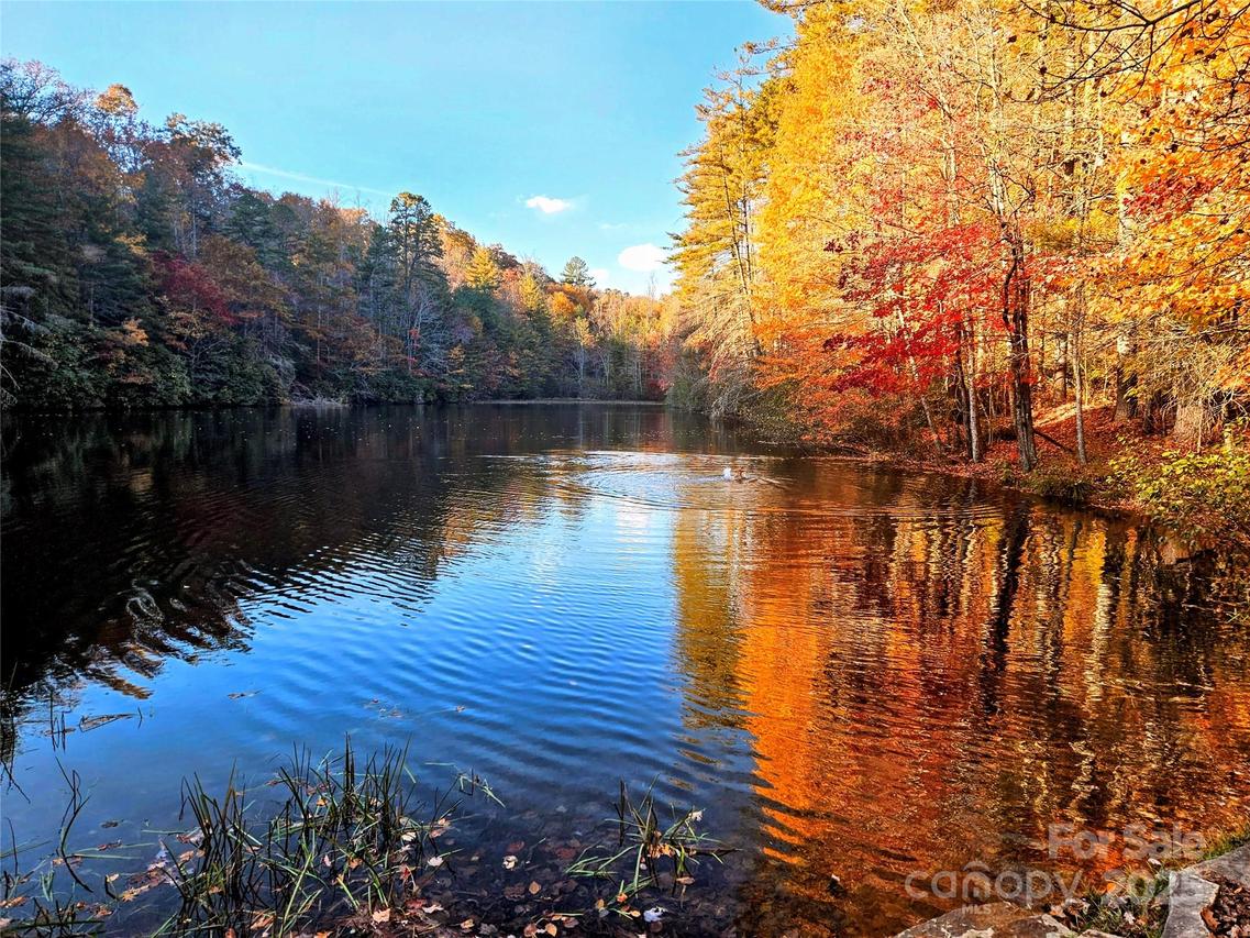 900 Bud Siniard Rd., Brevard, NC 28712