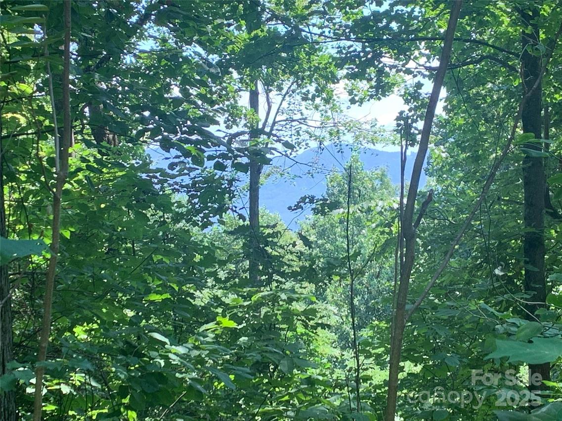 1915 Creston Dr. #T-18, Black Mountain, NC 28711