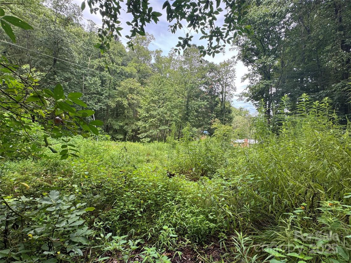 302 Wilson Cove Rd., Swannanoa, NC 28778