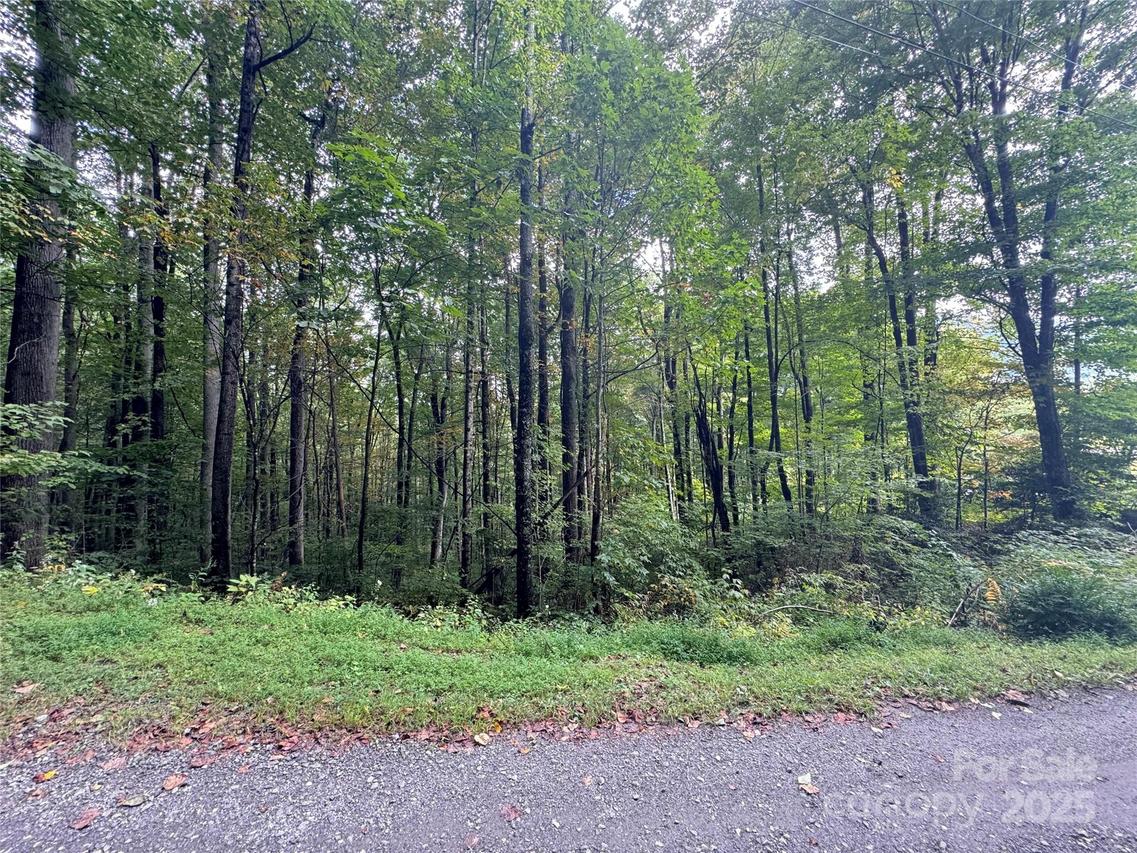 13 Fern Tr., Waynesville, NC 28786