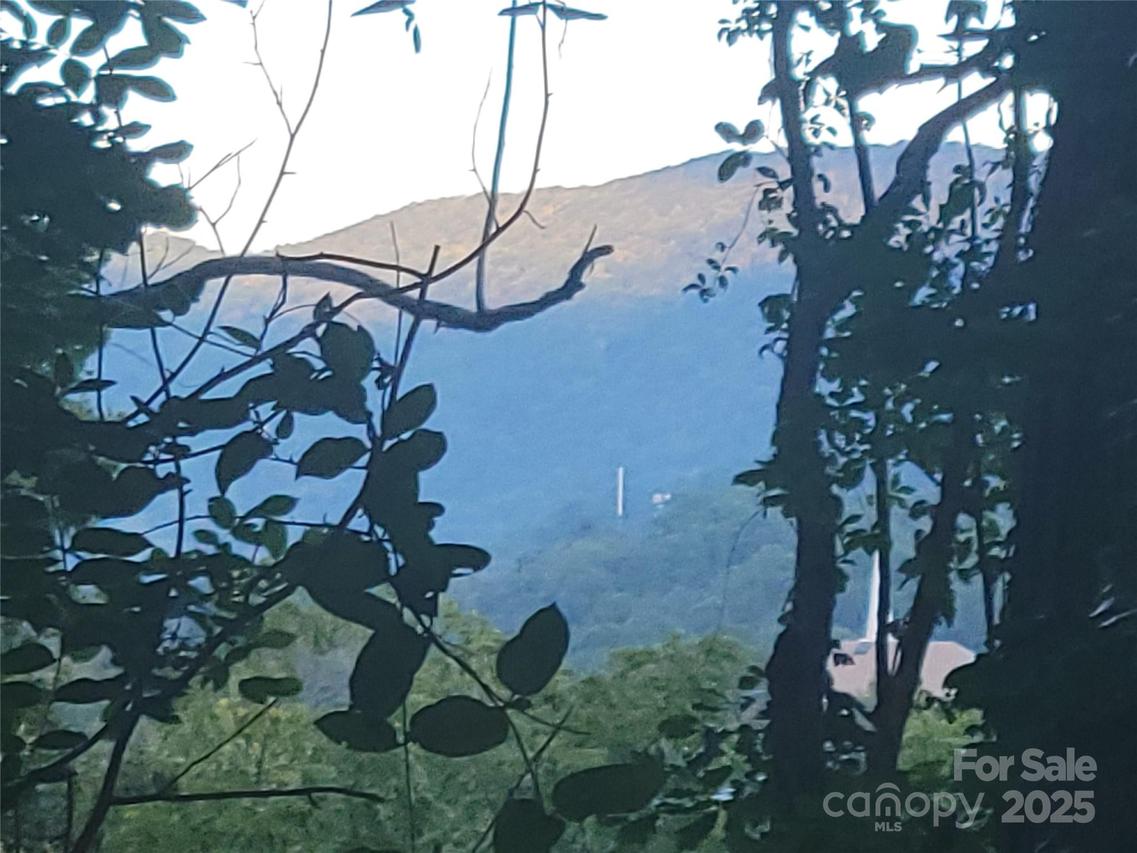 Blink Bonny Dr. #B9 & B11, Waynesville, NC 28786