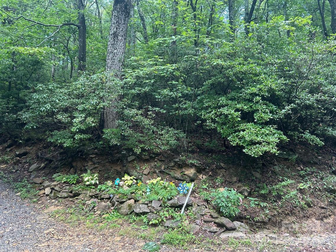 Lot 21 Pine Ridge Rd. #21, Hendersonville, NC 28792