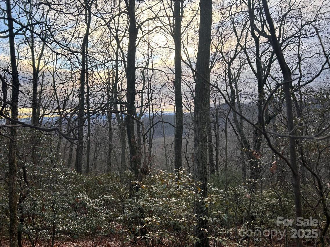 Lot 21 Pine Ridge Rd. #21, Hendersonville, NC 28792