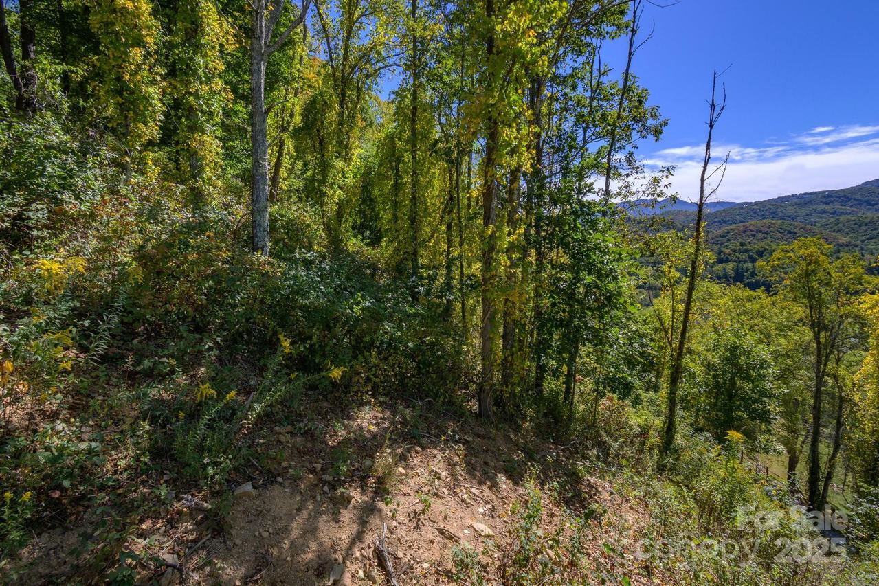 Lot 27 Silver Fox Ln., Banner Elk, NC 28604