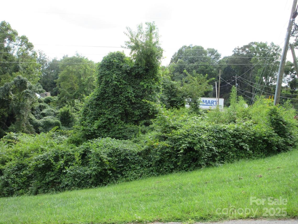 3 N Belgium Ln. #5, Asheville, NC 28806