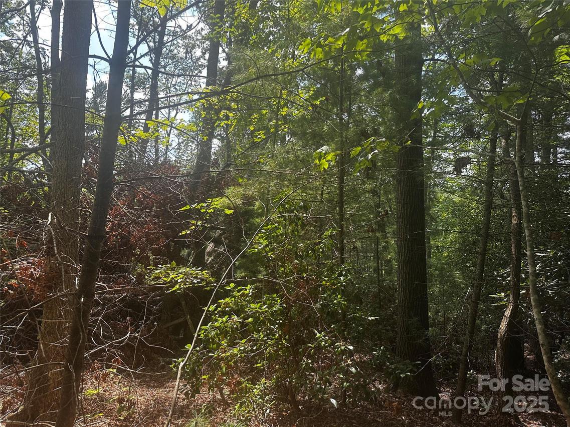 00 Rabbit Hop Rd., Spruce Pine, NC 28777