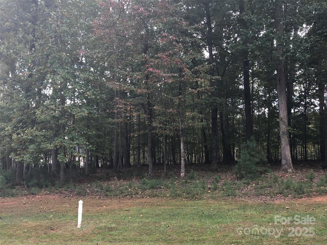 6223 Hollow Oak Dr. #87, Mint Hill, NC 28227