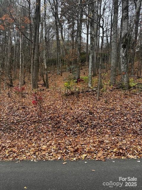 309 Nottingham Rd., Maggie Valley, NC 28751