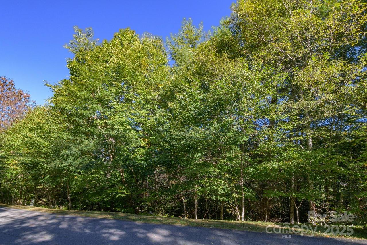 Lot 37 White Fox Ln., Banner Elk, NC 28604