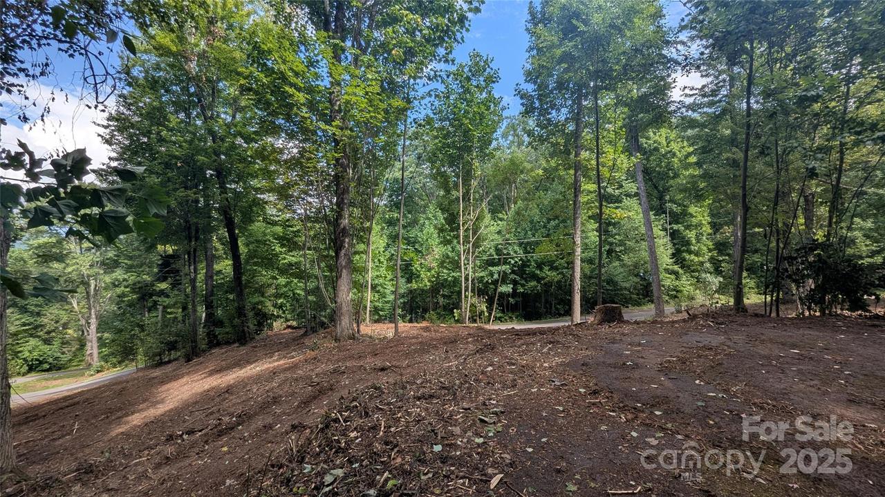 00 Chestnut Walk Dr. #1, Waynesville, NC 28786