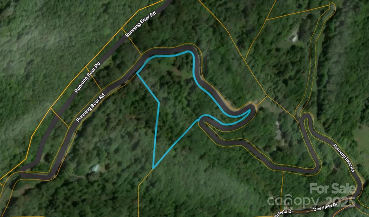 00 Running Bear Rd., Hot Springs, NC 28743