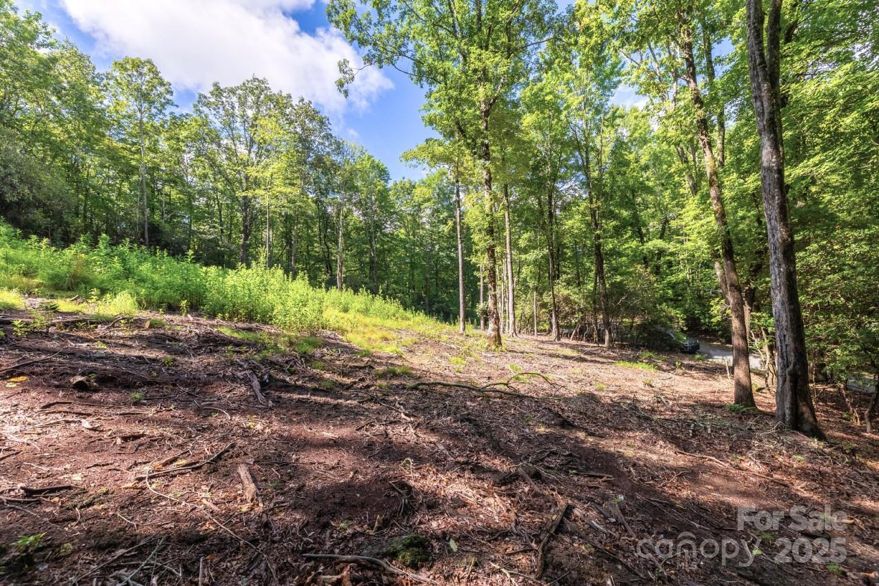School House Rd., Pisgah Forest, NC 28768