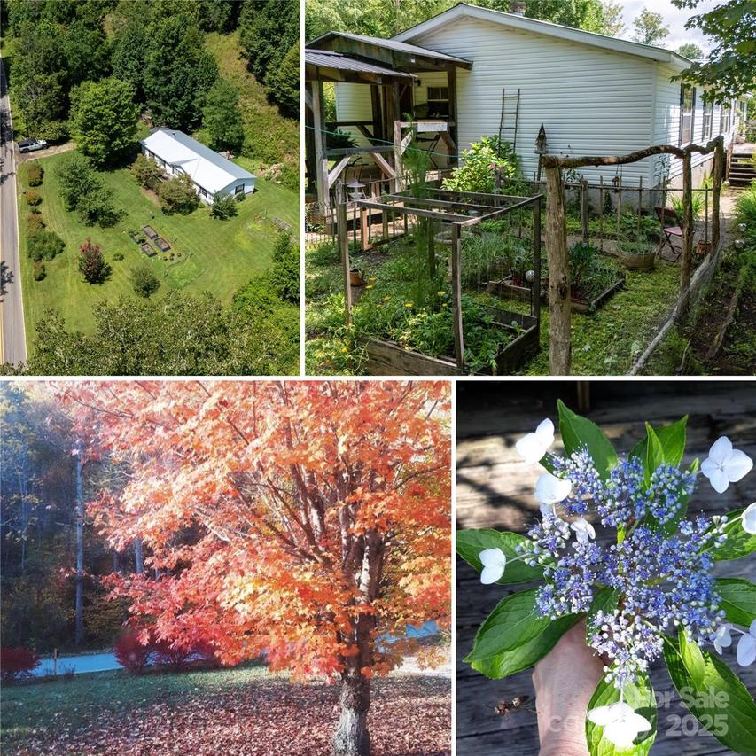 614 Upper Doe Bag Rd., Green Mountain, NC 28740