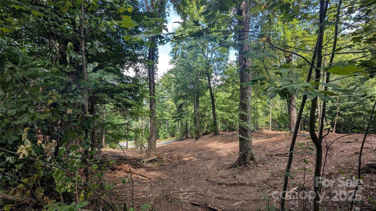 00 Chestnut Walk Dr. #2, Waynesville, NC 28786