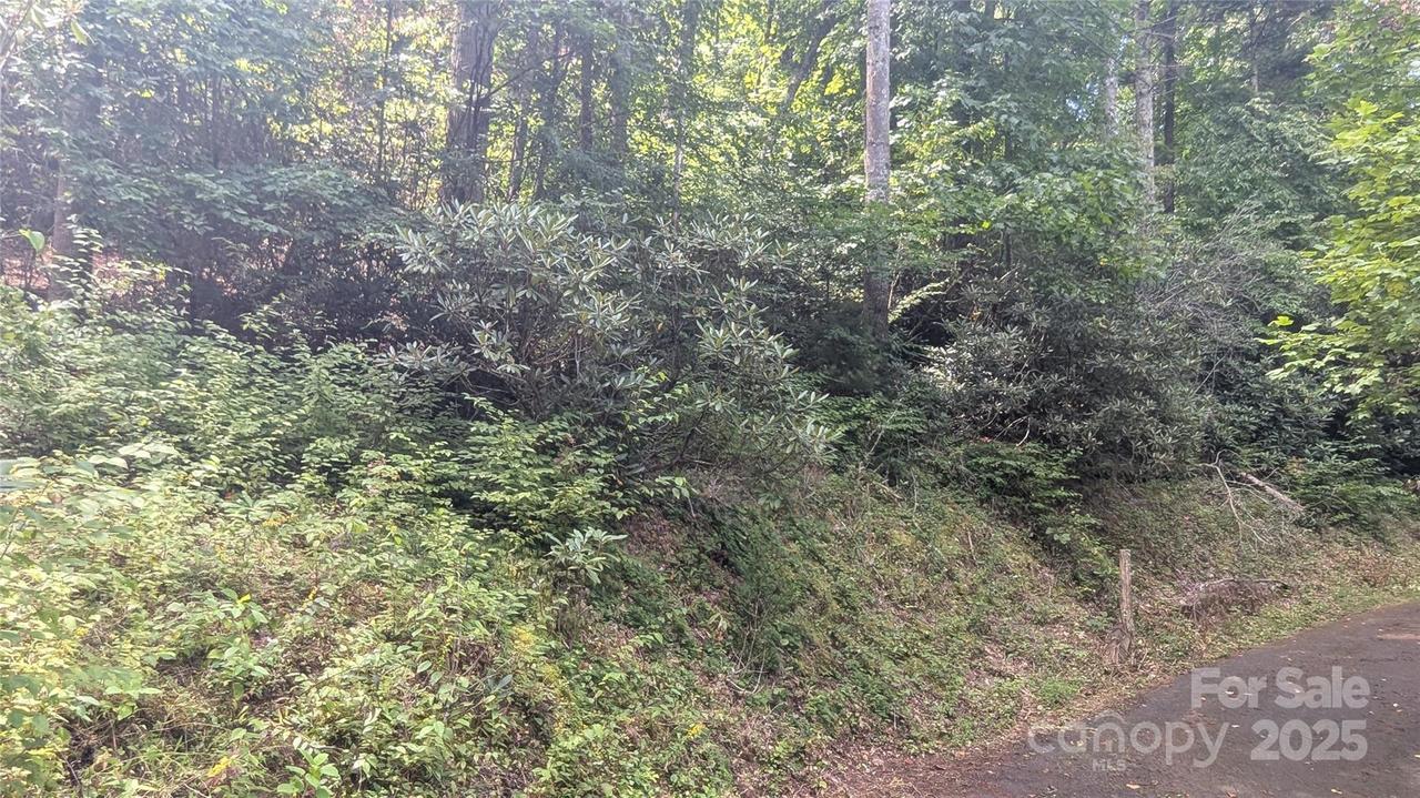 00 Chestnut Walk Dr. #3, Waynesville, NC 28786