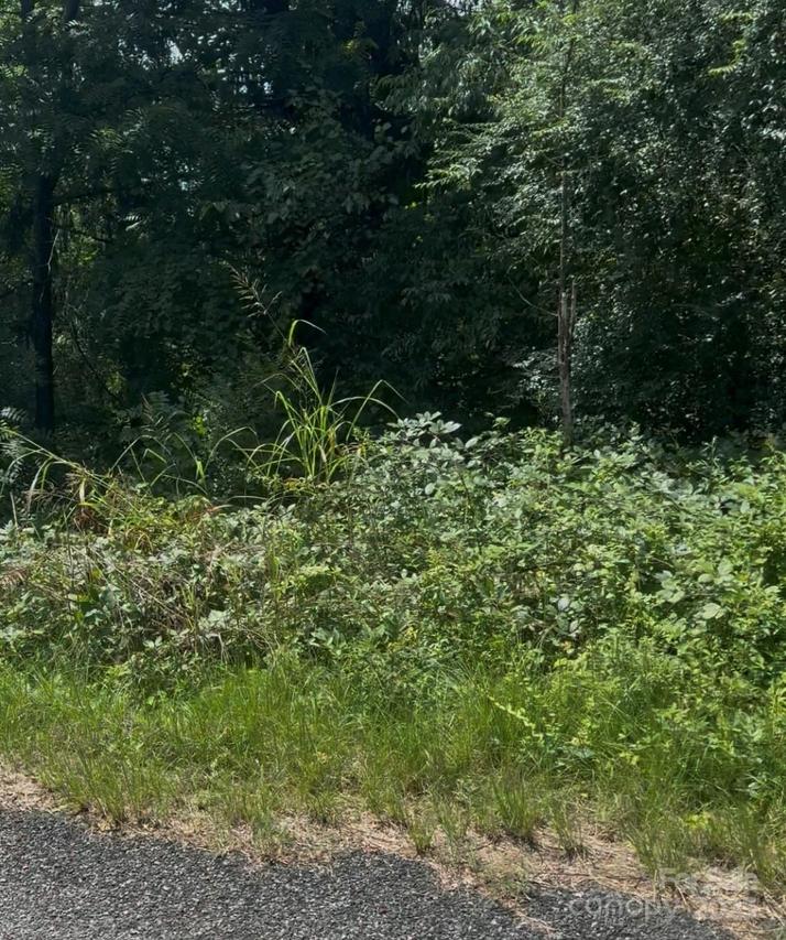 2732 Cotton Mill St., Connelly Springs, NC 28612