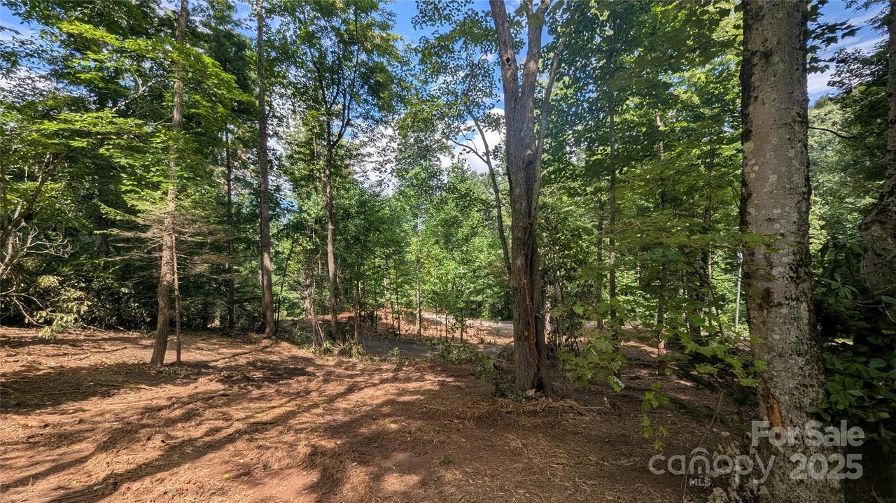00 Chestnut Walk Dr. #32, Waynesville, NC 28786