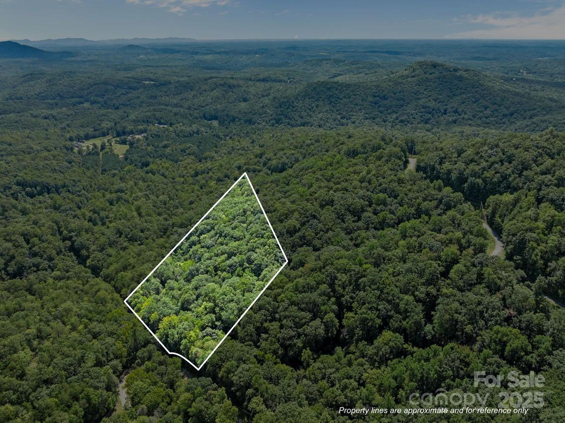 0000 Peartree Dr. #487, Lake Lure, NC 28746
