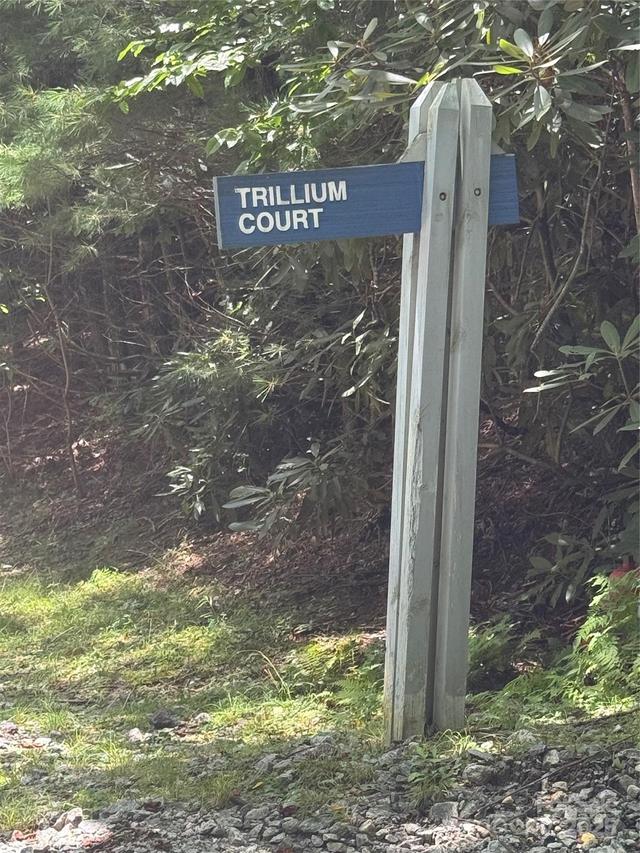 000 Trillium Ct. #37, Sapphire, NC 28774