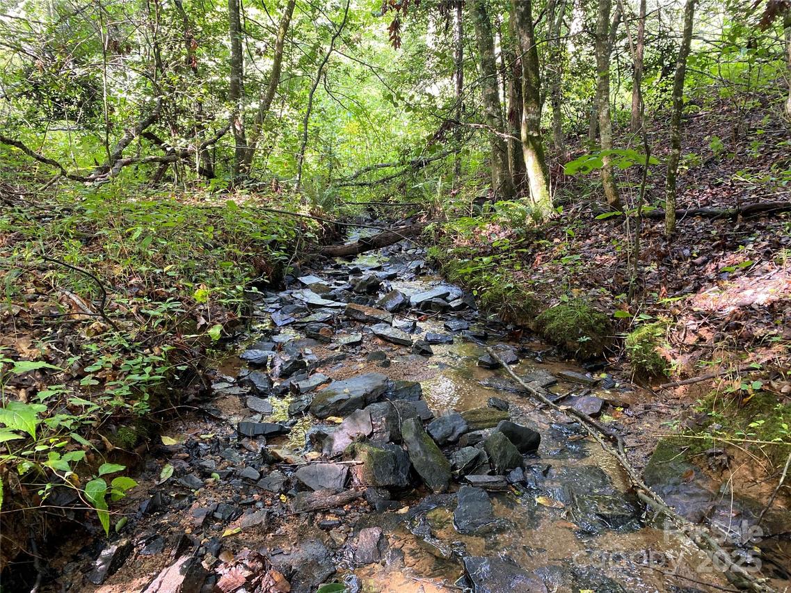 4665 Painters Gap Rd., Union Mills, NC 28167