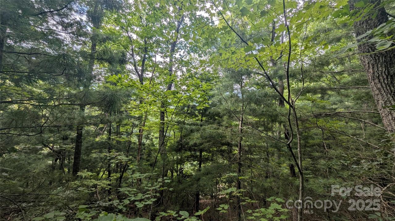 00 Pinewood Dr., Waynesville, NC 28786