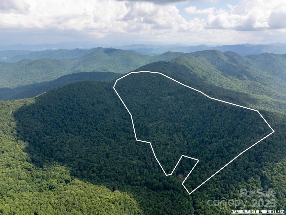 99999 Billy Cove Rd., Candler, NC 28715