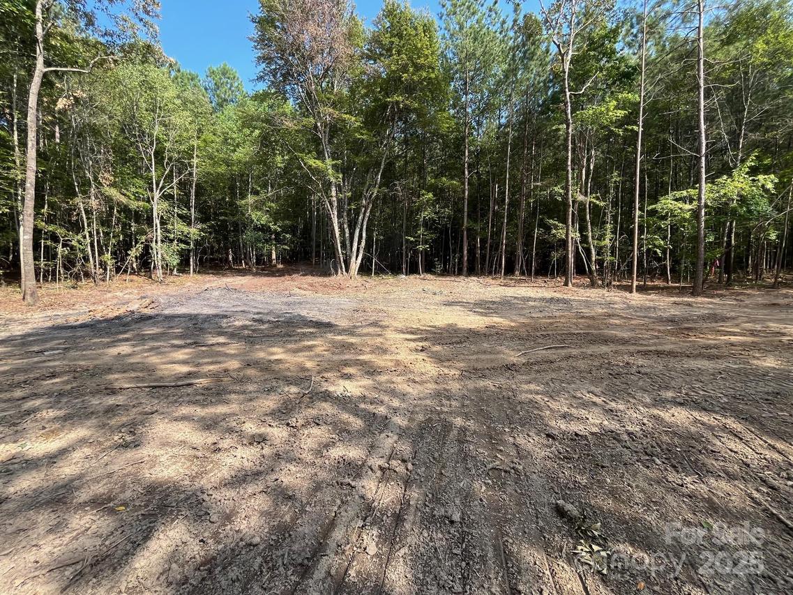 V/L W V Thompson Rd. #2, Rutherfordton, NC 28139