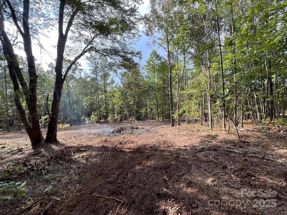 V/L W V Thompson Rd. #2, Rutherfordton, NC 28139