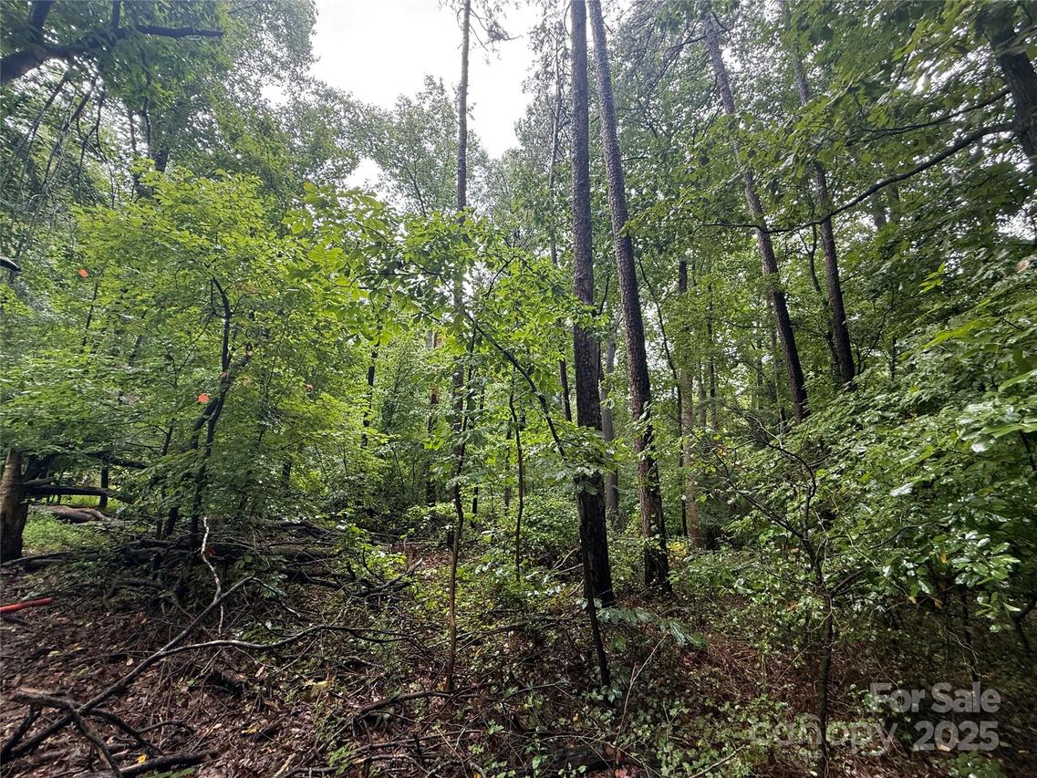 4133 Marlette Dr., Charlotte, NC 28214