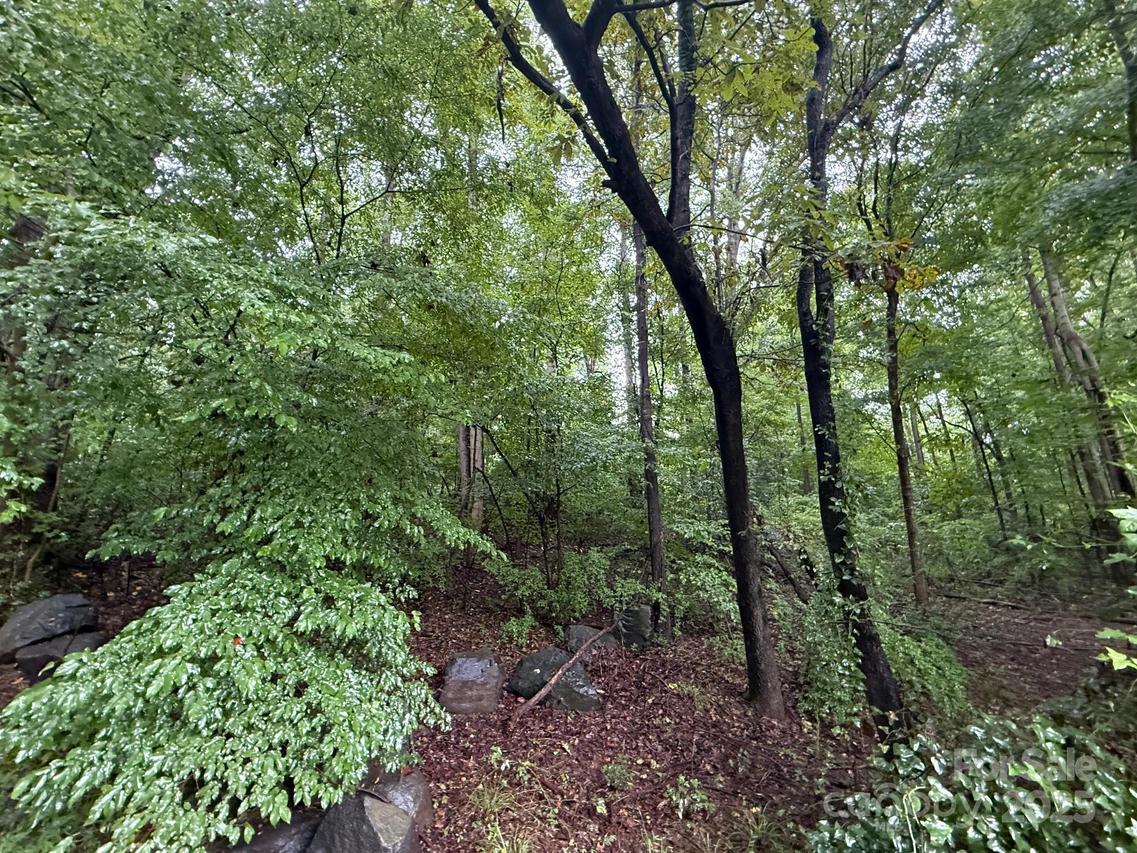 3117 Shirley Dr., Charlotte, NC 28214