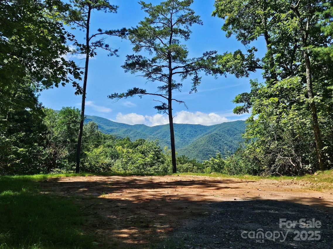 Blue Vista Rd. #1, Canton, NC 28716
