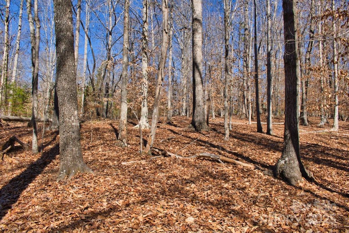 Cinnamon Ridge #404, Rutherfordton, NC 28139
