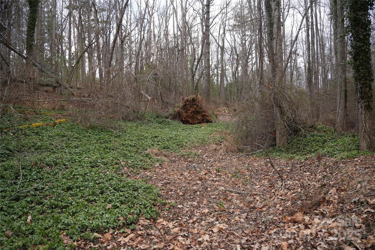 741 Glenn Bridge Rd., Arden, NC 28704
