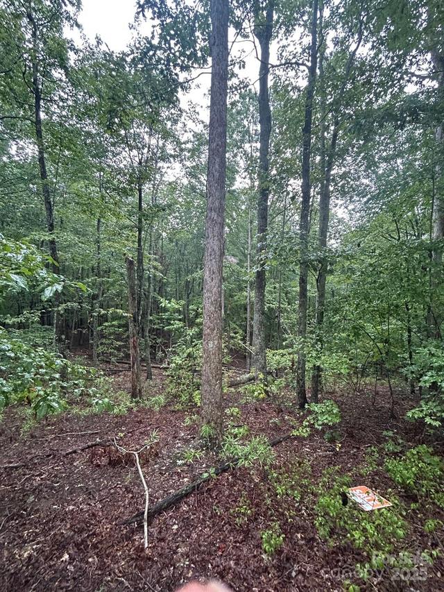 90 Adirondack Tr. #88, Nebo, NC 28761