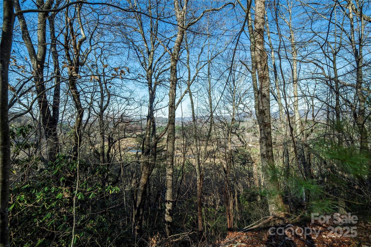 TBD Three Mile Knob Rd. #L2, Brevard, NC 28712