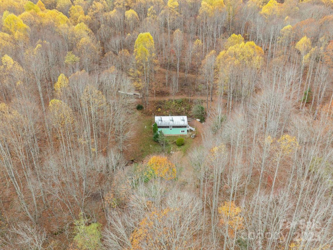 61 Doe Loop, Hot Springs, NC 28743