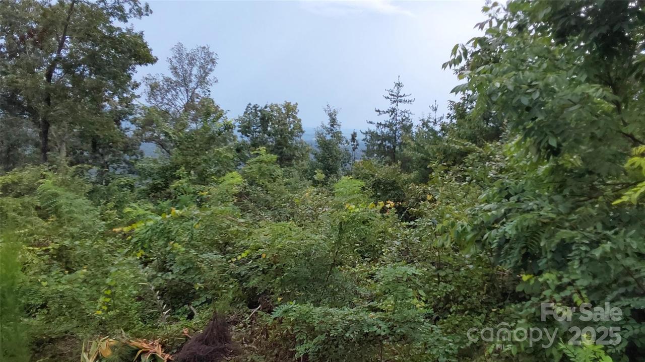 Brighton Dr., Rutherfordton, NC 28018