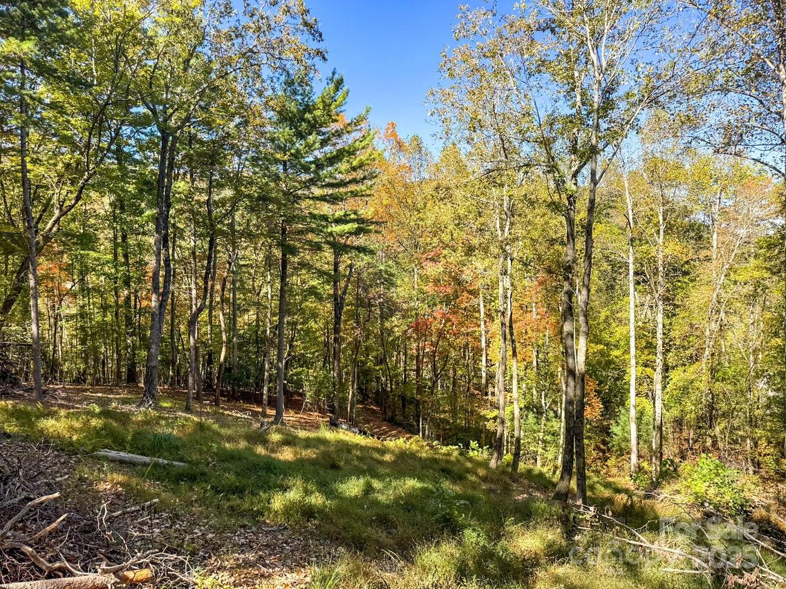 212 Judson Ridge Rd., Arden, NC 28704