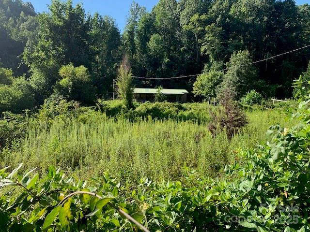 5712 Holbert Cove Rd. #6.51AC, Saluda, NC 28773
